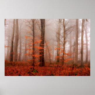 Póster Dramático bosque nublado rojo de invierno sin niev