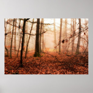 Póster Dramático bosque nublado rojo de invierno sin niev