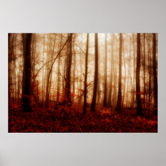 Póster Dramático bosque nublado rojo de invierno sin niev