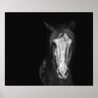 Dramático caballo blanco negro moderno