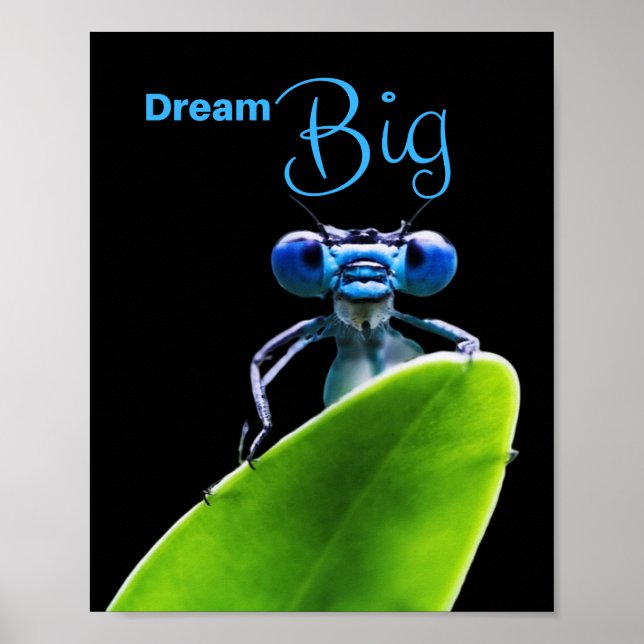 Póster Dream Big Dragonfly Motivational Matt Poster (Frente)