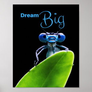 Póster Dream Big Dragonfly Poster de Matt motivacional