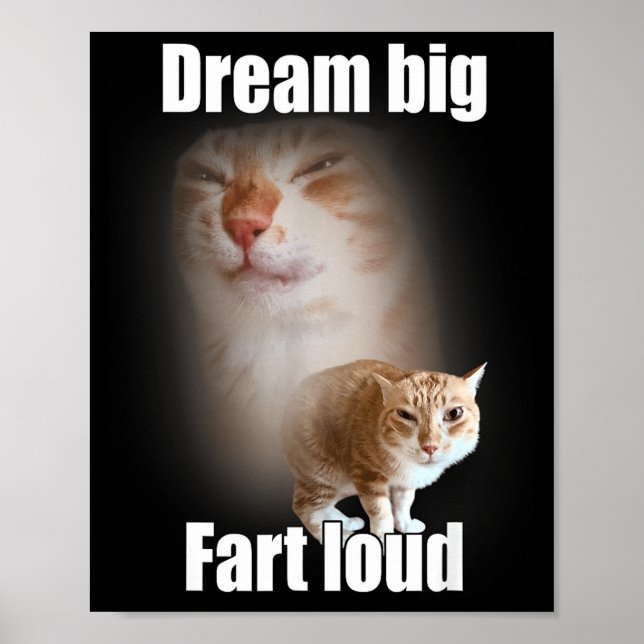 Póster Dream Big Fart Loud Cat Meme Funny Saying  (Frente)