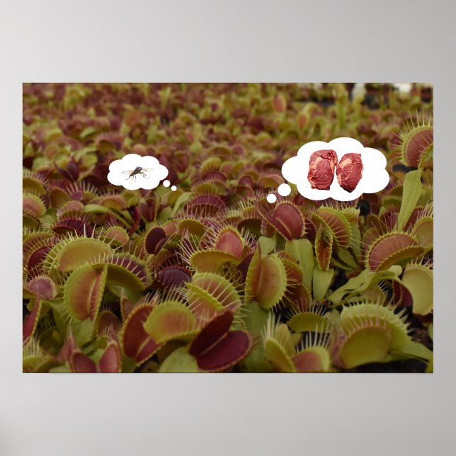 Póster Dream Big not small. (Frente)