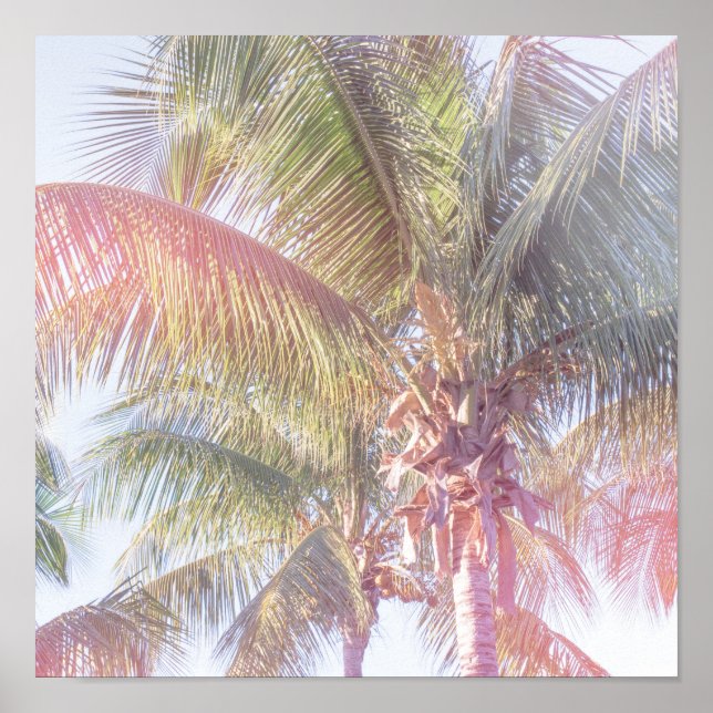 Póster Dream Palm Tree (Frente)