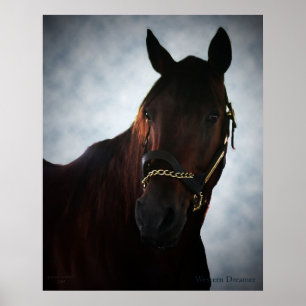 Póster Dreamer occidental