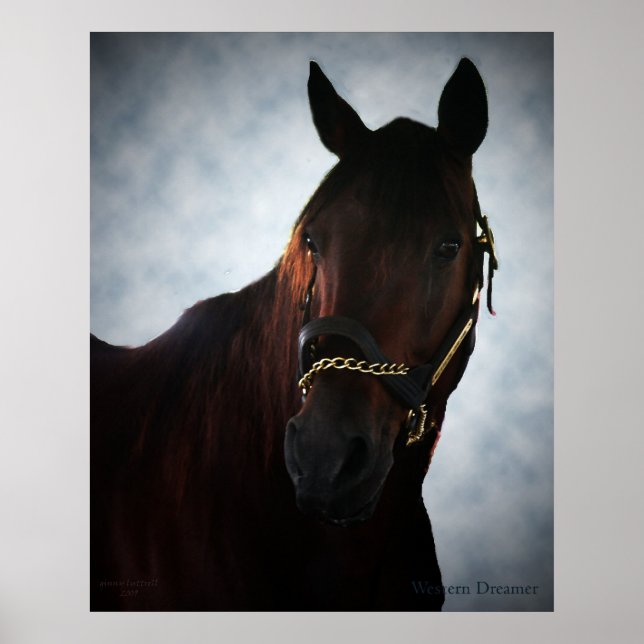 Póster Dreamer occidental (Frente)