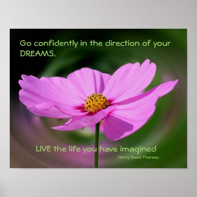 Póster Dreams Cita Cosmos Flower Inspirador (Frente)