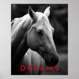 Póster Dreams Motivational Black Closeup Horse