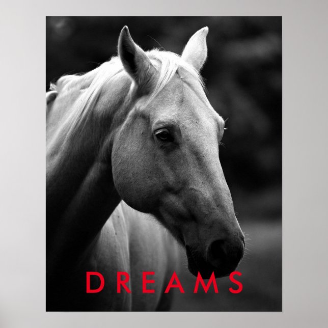 Póster Dreams Motivational Black Closeup Horse (Frente)