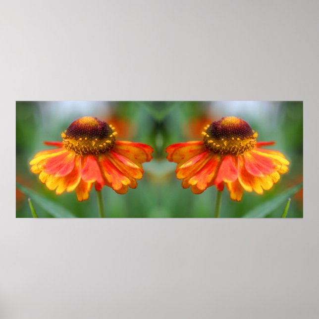 Póster Dreamy Zinnia Flower Mirror Resumen (Frente)