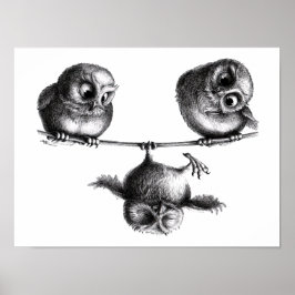 Póster Drei Eulen Freiheit und Spass