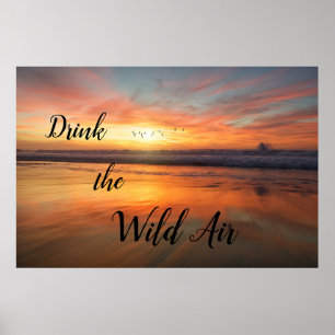Póster Drink the Wild Air Poster