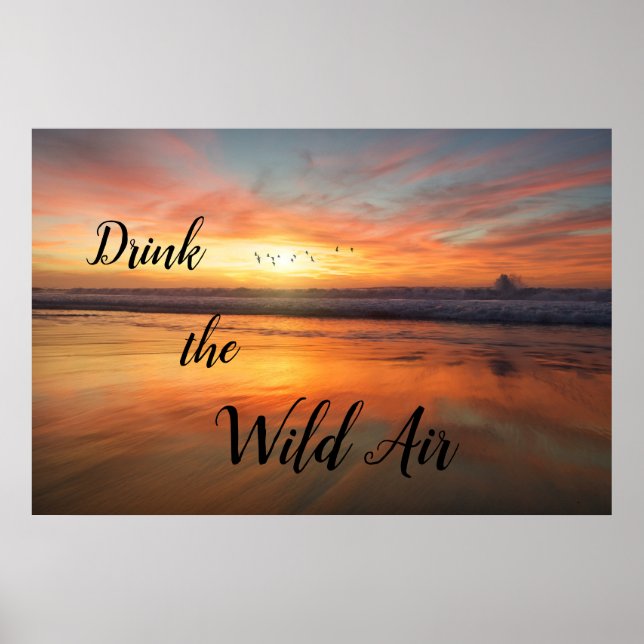 Póster Drink the Wild Air Poster (Frente)