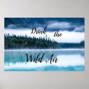 Póster Drink the Wild Air Poster