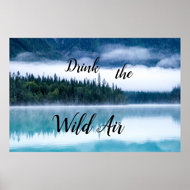 Póster Drink the Wild Air Poster (Frente)