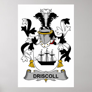 Póster Driscoll Family Crest