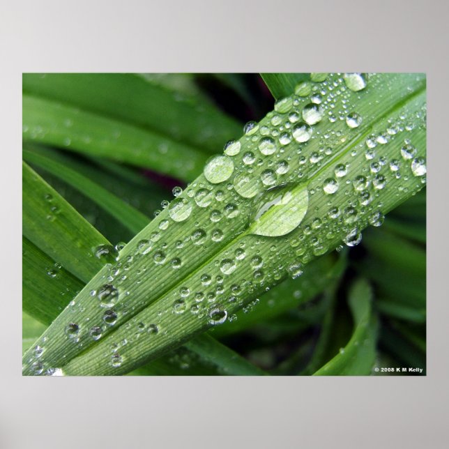 Póster Dropletas de agua. (Frente)