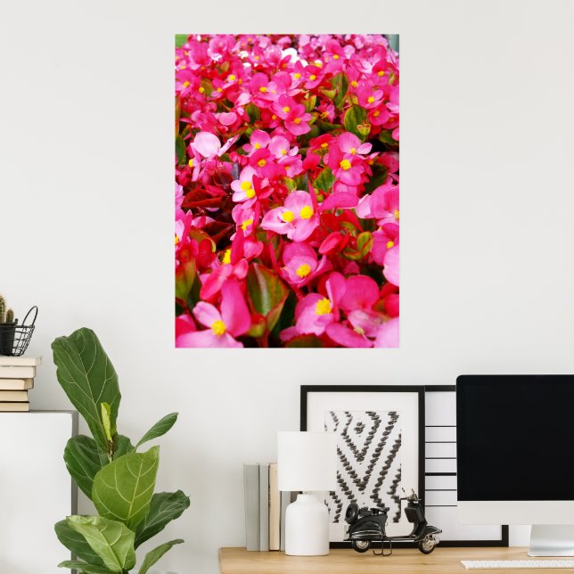 Póster Dropletas Rosadas De Primavera, Begonia, (Oficina en casa)