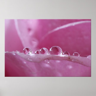 Póster Droplets