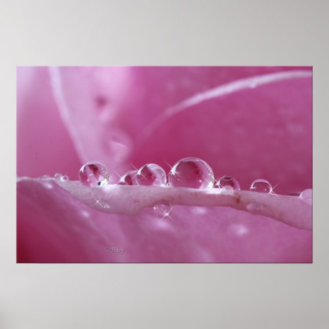 Póster Droplets (Frente)