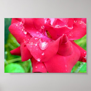 Póster Droplets en el Poster de Petals