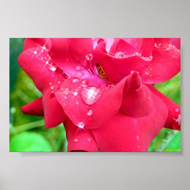 Póster Droplets en el Poster de Petals (Frente)