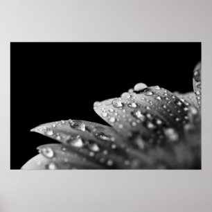 Póster Droplets (negro y blanco)