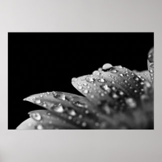 Póster Droplets (negro y blanco)