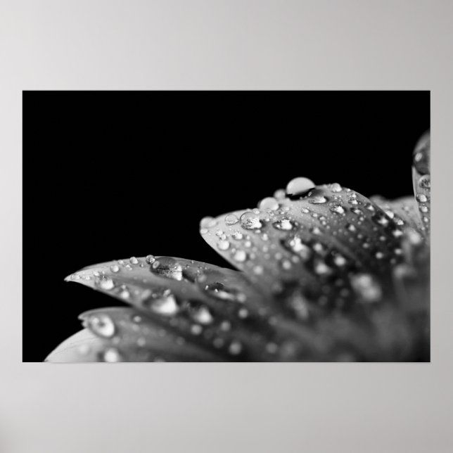 Póster Droplets (negro y blanco) (Frente)