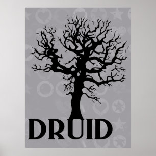 Póster Druida