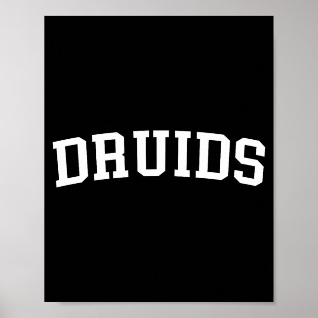 Póster Druids  (Frente)