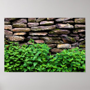 Póster Dry Stone wall