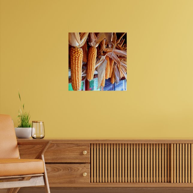 Póster Dry Whole Ear Corn with Husks (Salón 2)