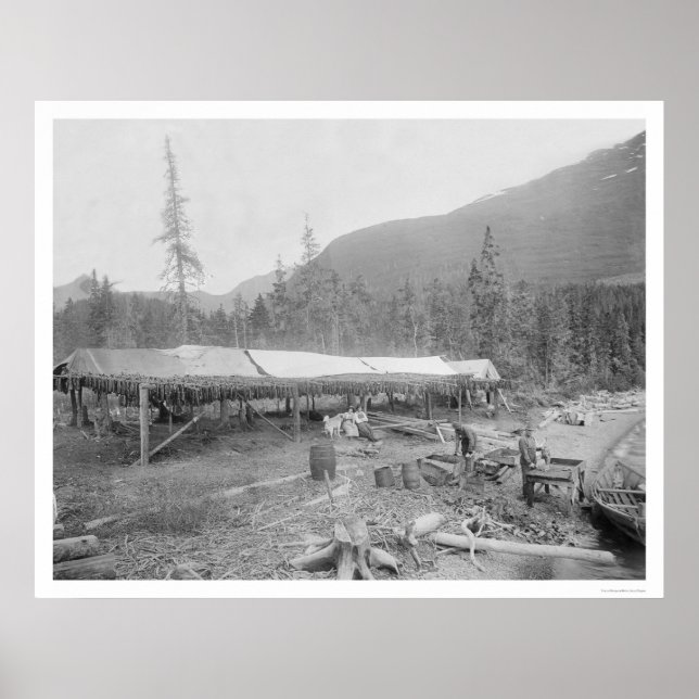 Póster Drying Salmon In Alaska 1915 (Frente)