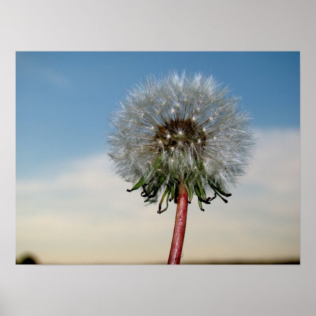 PÓSTER DSC00033 (Frente)