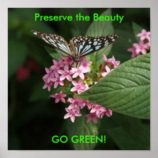 Póster DSC00407, Preserve la belleza, ¡VAMOS VERDE!