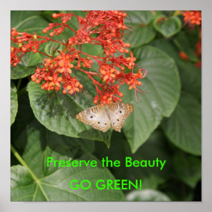 Póster ¡DSC00433, preservan la belleza, VAN VERDE!