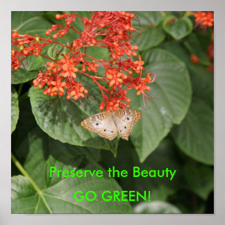 Póster DSC00433, Preserve la belleza, ¡VAMOS VERDE!