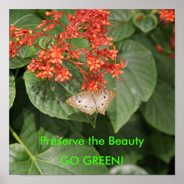 Póster DSC00433, Preserve la belleza, ¡VAMOS VERDE! (Frente)