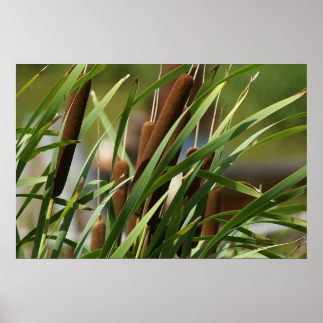 PÓSTER DSC04154 (Frente)