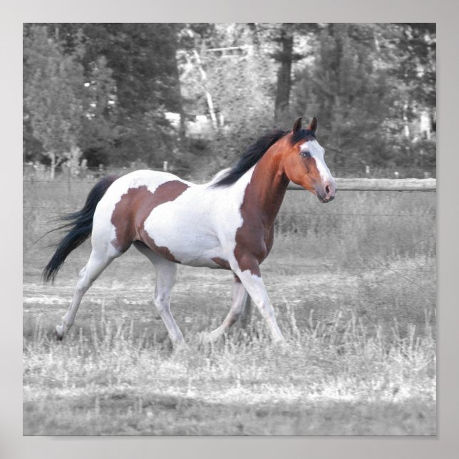 PÓSTER DSC_0110 (Frente)