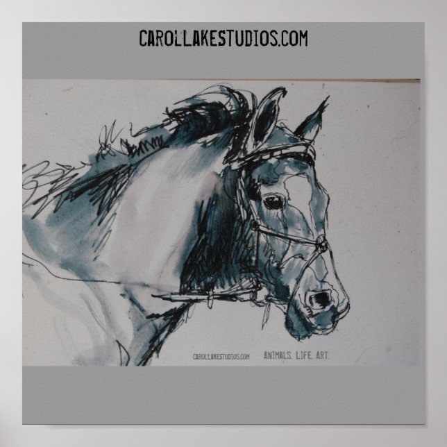 Póster DSC_0462, Animales. La vida. Arte. , CarolLakeStud (Frente)