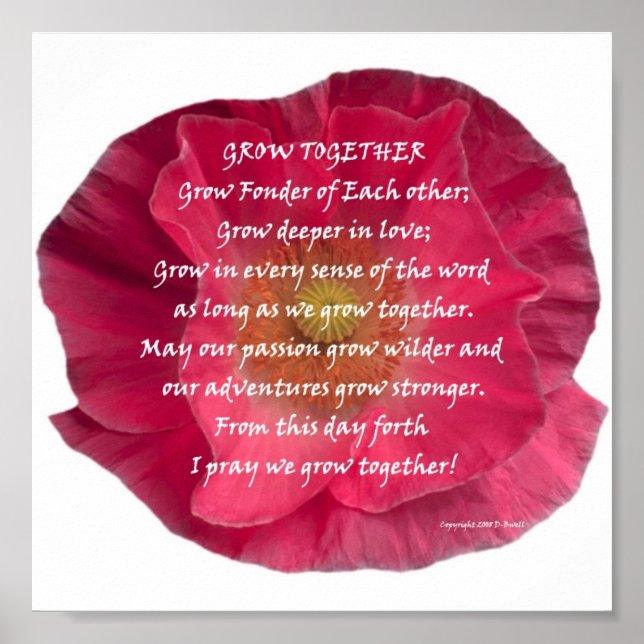 PÓSTER DSCN0136 (Frente)