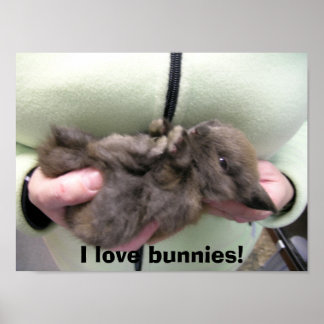 Póster DSCN0356, ¡me encantan los conejitos!