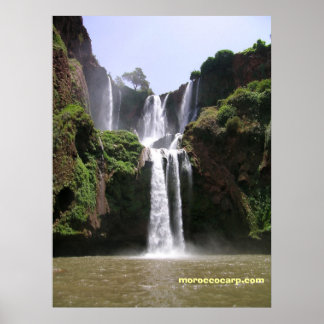 Póster DSCN9348, moroccocarp.com