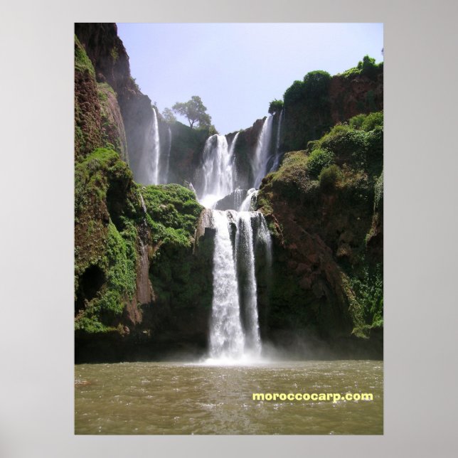 Póster DSCN9348, moroccocarp.com (Frente)