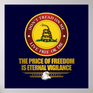 Póster DTOM - Vigilancia