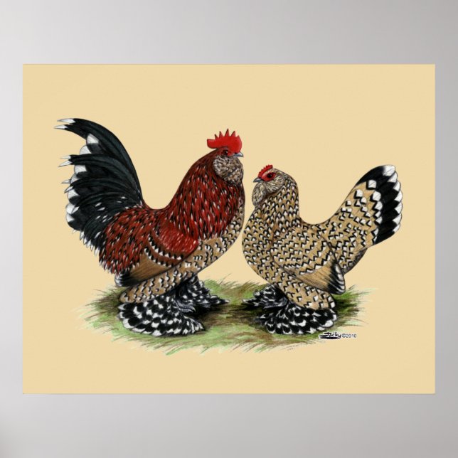 Póster D'Uccle Bantams: Mille Fleur (Frente)