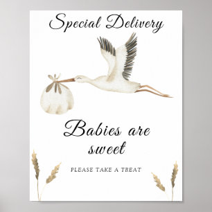 Póster Ducha de bebé de cigüeñas - los bebés son dulces